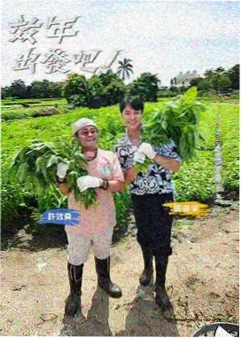 综艺在线观看